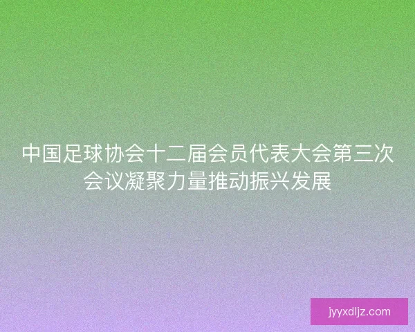中国足球协会十二届会员代表大会第三次会议凝聚力量推动振兴发展